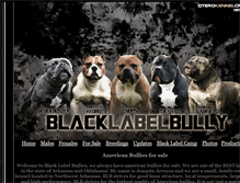 Tablet Screenshot of blacklabelbully.com